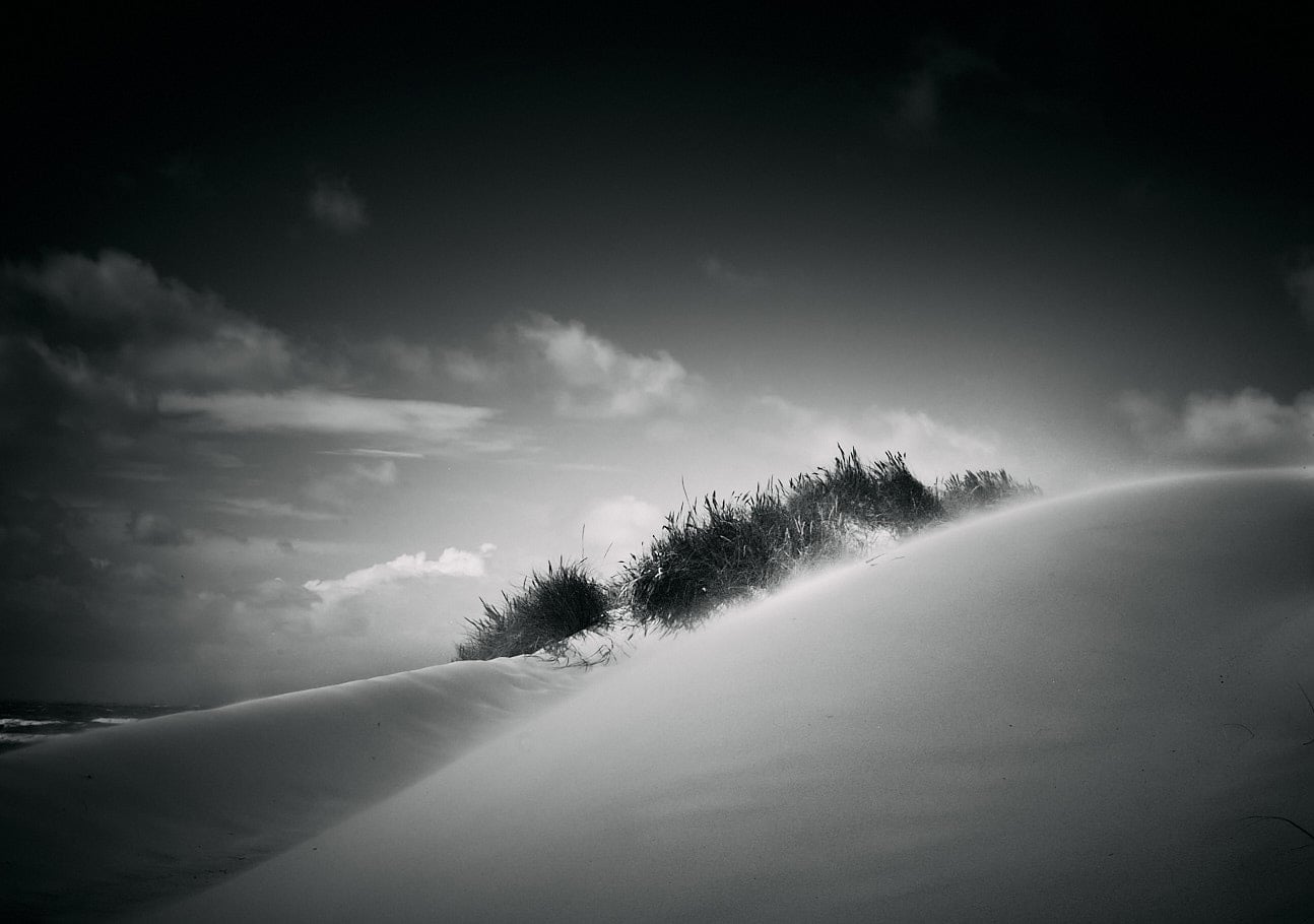 photographie paysage dune Danemark